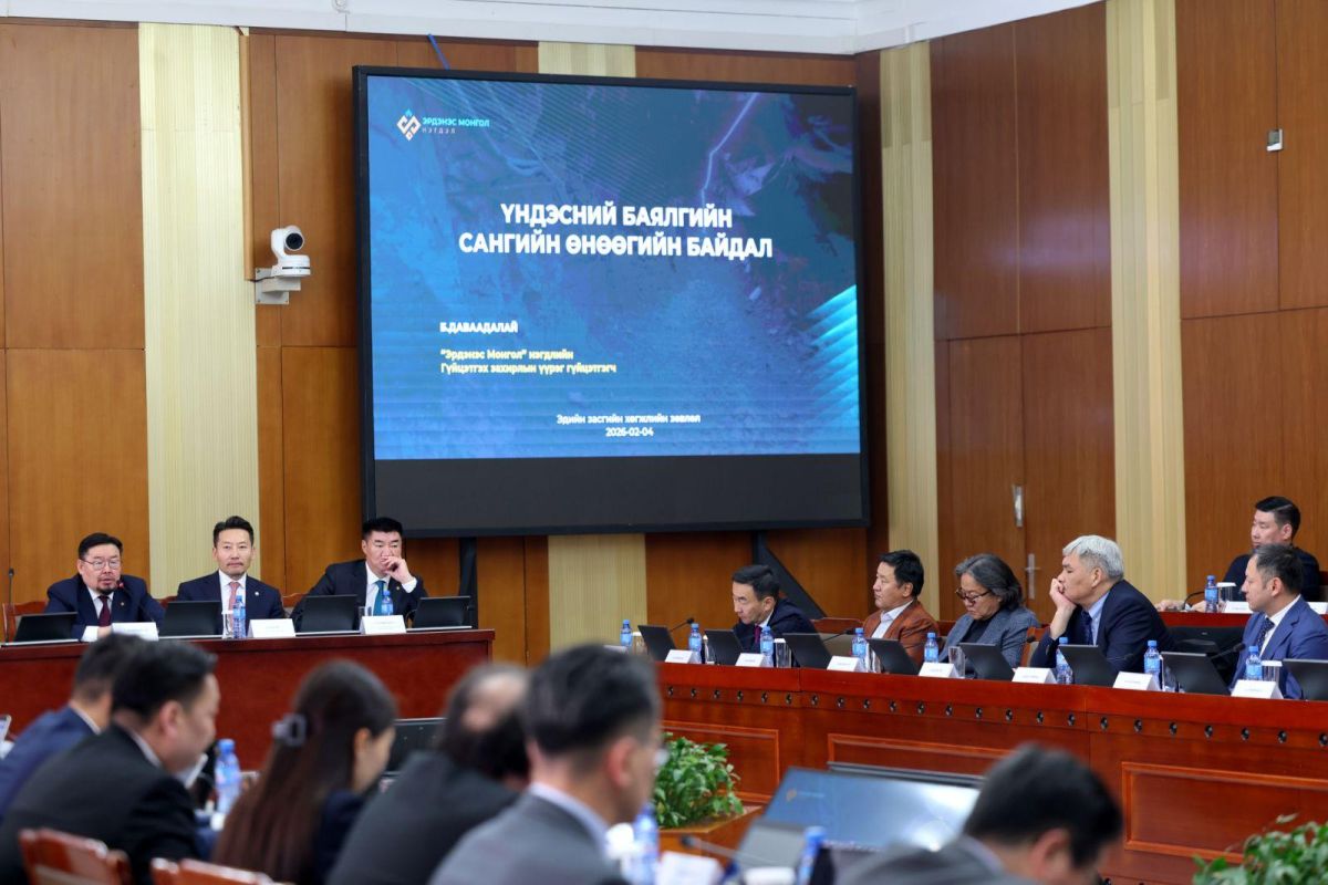 Эдийн засгийн хөгжлийн зөвлөлийнхөн Үндэсний баялгийн сангийн менежментийг сайжруулах талаар санал солилцлоо